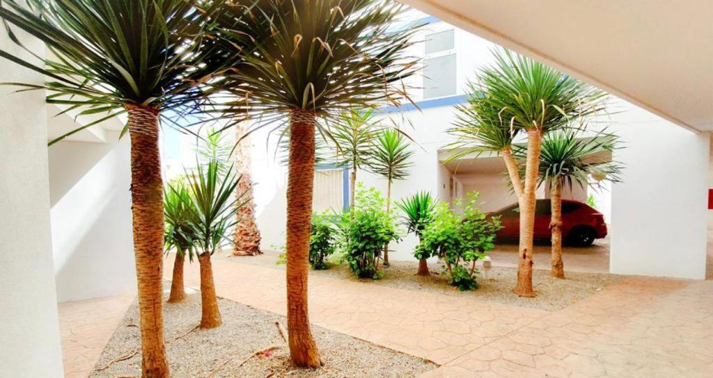 Apartment With Sea Views In Las Terrazas/Playa Flamenca Dehesa de Campoamor  Dış mekan fotoğraf
