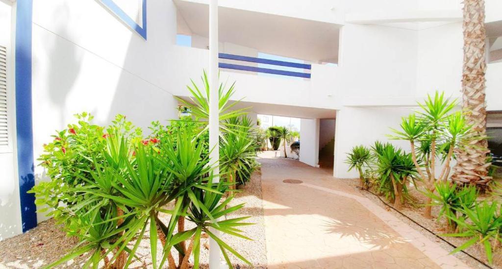 Apartment With Sea Views In Las Terrazas/Playa Flamenca Dehesa de Campoamor  Dış mekan fotoğraf